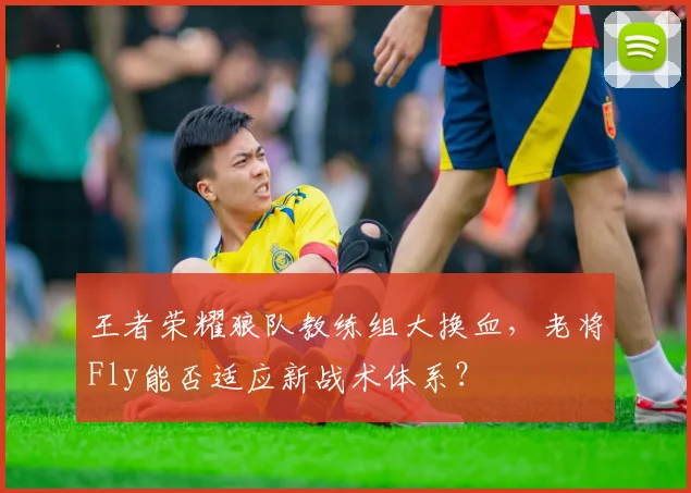 王者荣耀狼队教练组大换血,老将Fly能否适应新战术体系?
